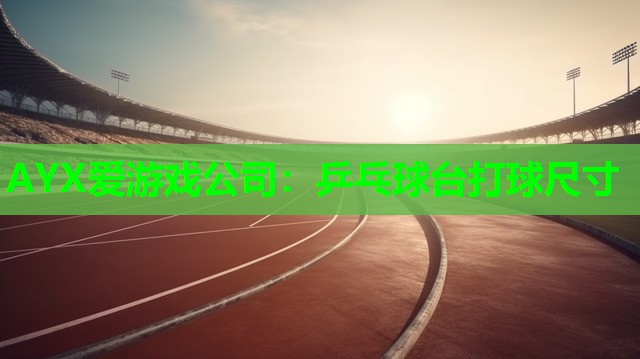 AYX爱游戏公司：乒乓球台打球尺寸