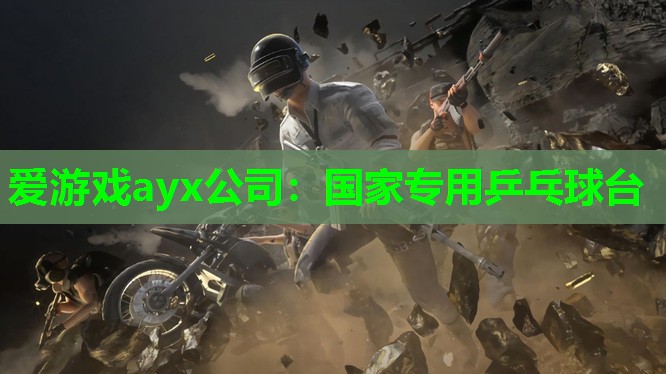 爱游戏ayx公司：国家专用乒乓球台