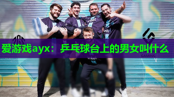 爱游戏ayx：乒乓球台上的男女叫什么