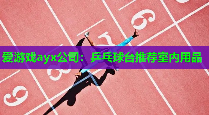 爱游戏ayx公司：乒乓球台推荐室内用品