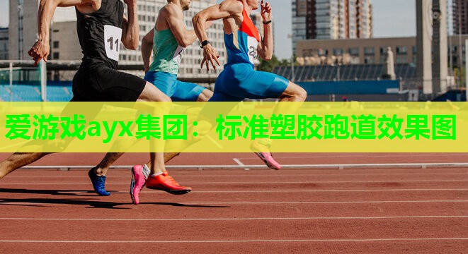 爱游戏ayx集团：标准塑胶跑道效果图