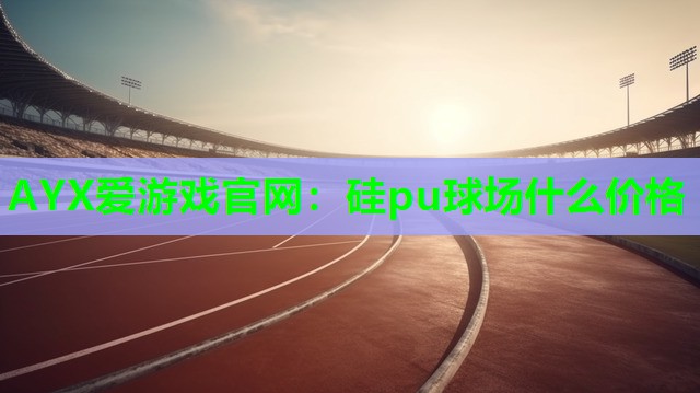 AYX爱游戏官网：硅pu球场什么价格