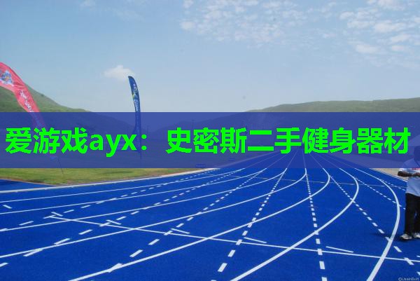 爱游戏ayx：史密斯二手健身器材