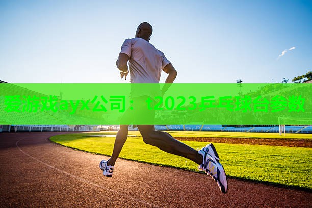 爱游戏ayx公司：t2023乒乓球台参数