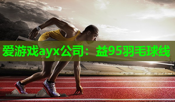 爱游戏ayx公司：益95羽毛球线