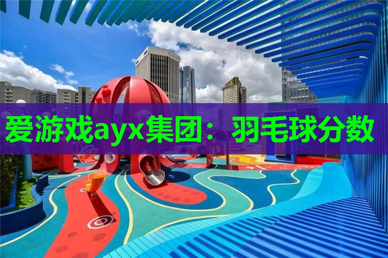 爱游戏ayx集团：羽毛球分数