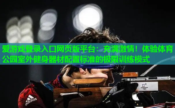 爱游戏登录入口网页版平台：充满激情！体验体育公园室外健身器材配置标准的极限训练模式