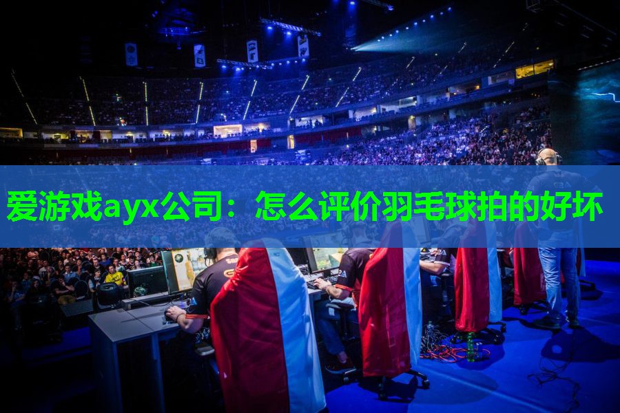 爱游戏ayx公司：怎么评价羽毛球拍的好坏