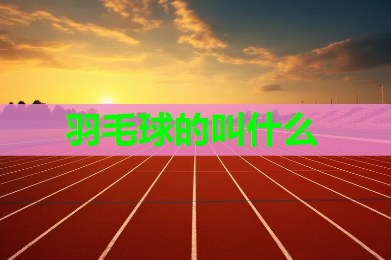 羽毛球的叫什么