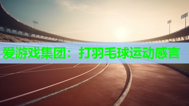 爱游戏集团：打羽毛球运动感言