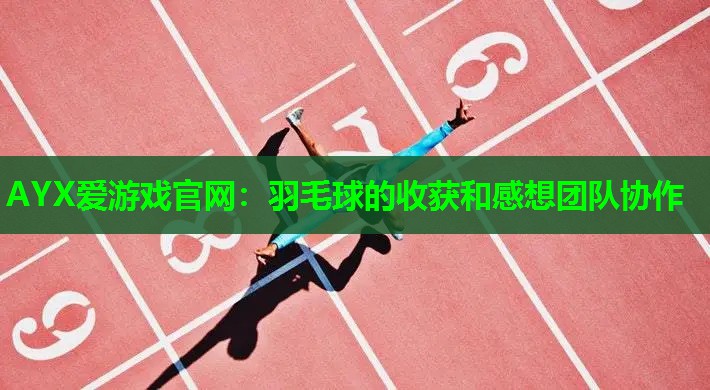 AYX爱游戏官网：羽毛球的收获和感想团队协作