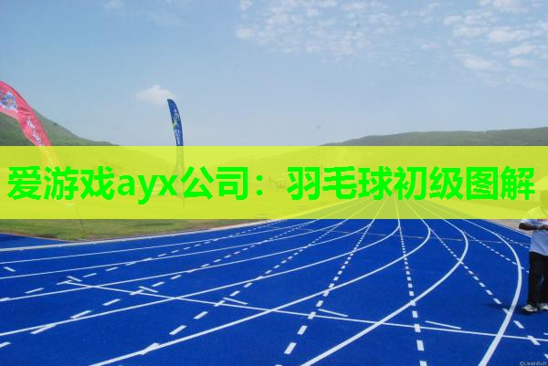 爱游戏ayx公司：羽毛球初级图解