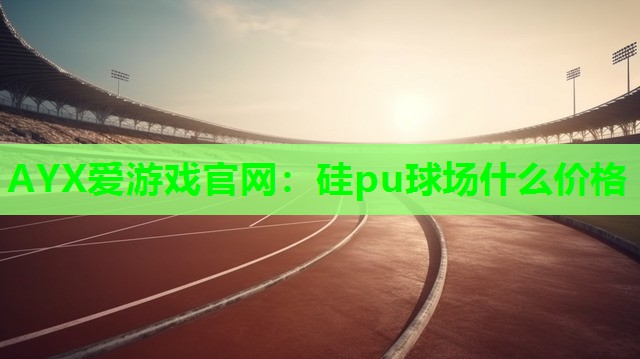 硅pu球场什么价格