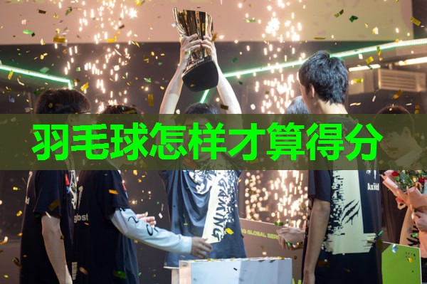 羽毛球怎样才算得分 羽毛球怎样才算得分