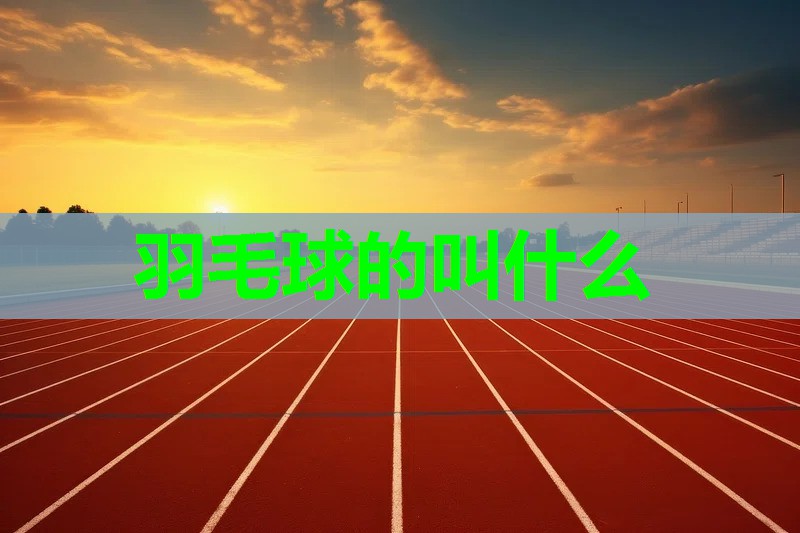 羽毛球的叫什么